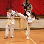 Karatecy ARS Klub Kyokushinkai potwierdzili swoje umiejętności (81)