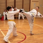 Karatecy ARS Klub Kyokushinkai potwierdzili swoje umiejętności (83)