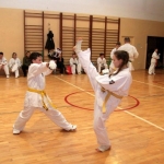 Karatecy ARS Klub Kyokushinkai potwierdzili swoje umiejętności (86)