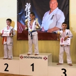 VII Otwarty Turniej Karate Kyokushin w Łukowicy (8)