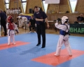 karate-kyokushin-frysztak-3