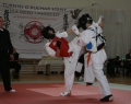 karate-kyokushin-puchar-solny-45