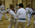 karate-kyokushin-sw-2013-48