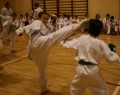 karate-kyokushin-sw-2013-49