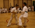 karate-kyokushin-sw-2013-51