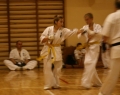 karate-kyokushin-sw-2013-53