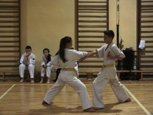 Egzamin w Limanowej – stopnie KYU
