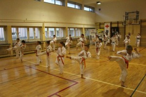 Egzamin na stopnie KYU - Limanowa