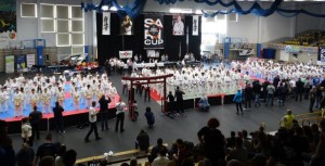 SARI CUP w Żorach 2017