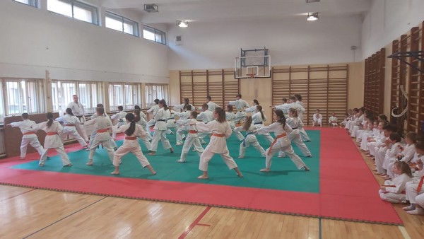 Kolejny egzamin na wyższe stopnie w Kyokushin Karate za nami